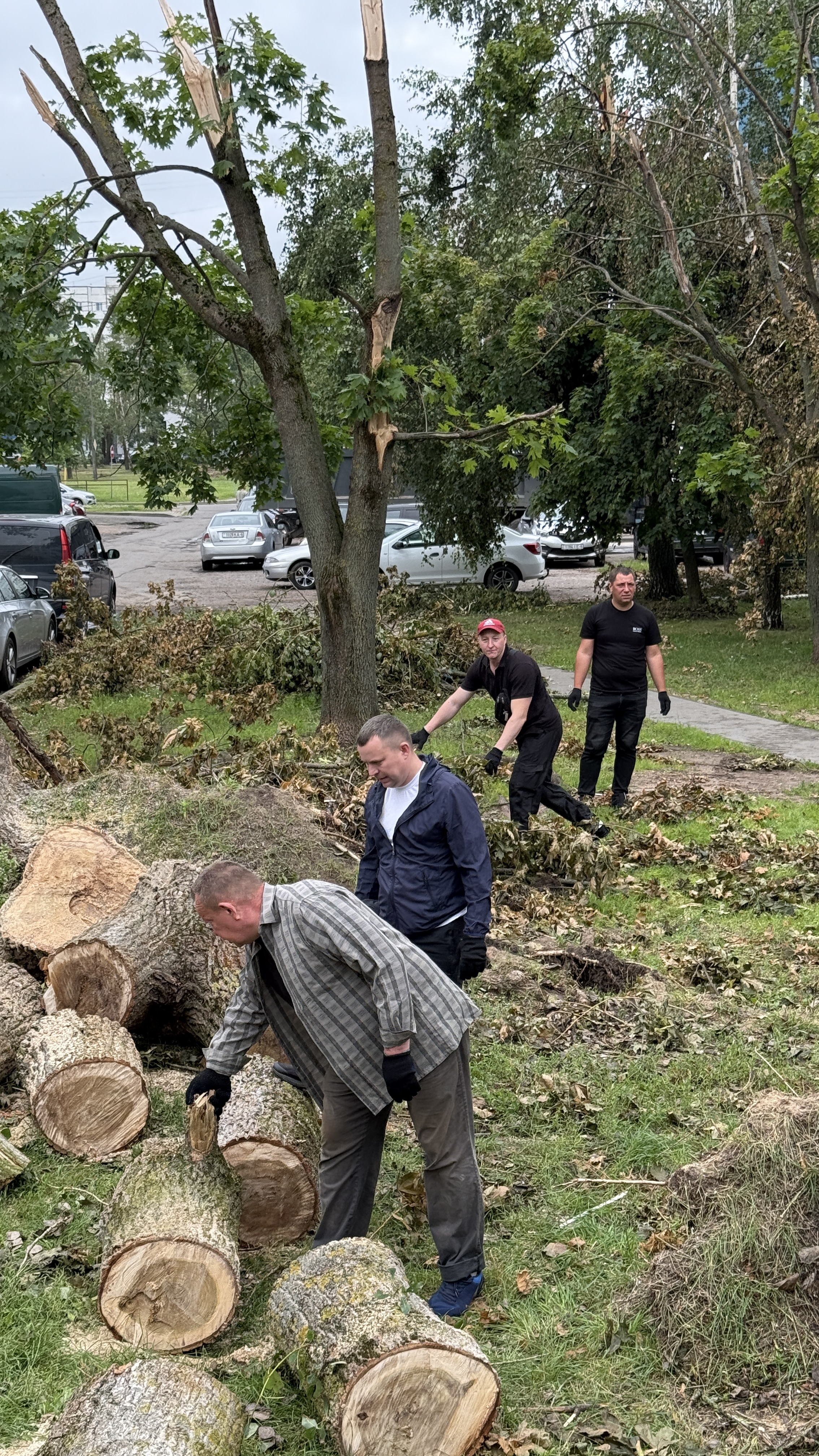 Изображение новости