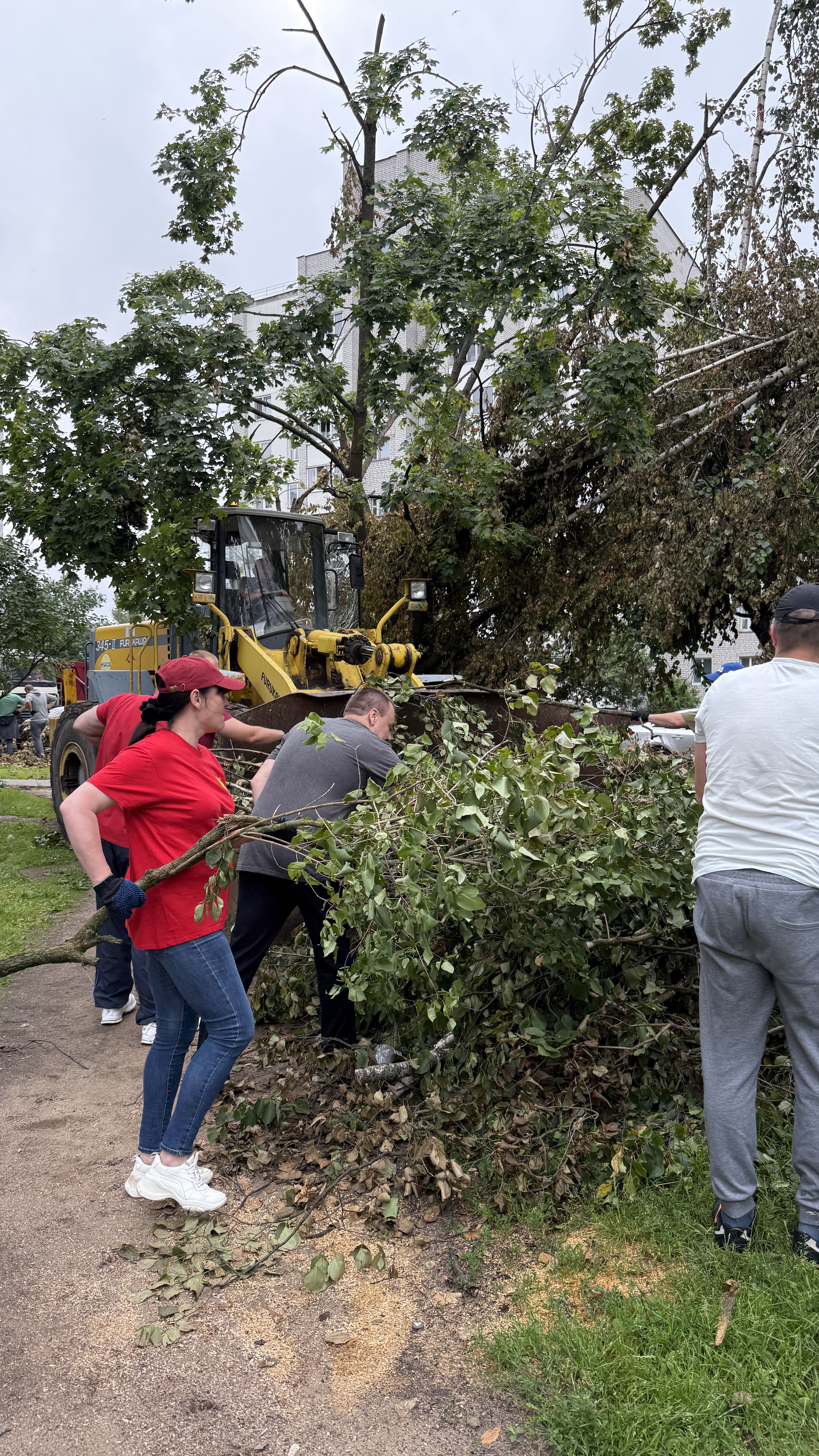 Изображение новости