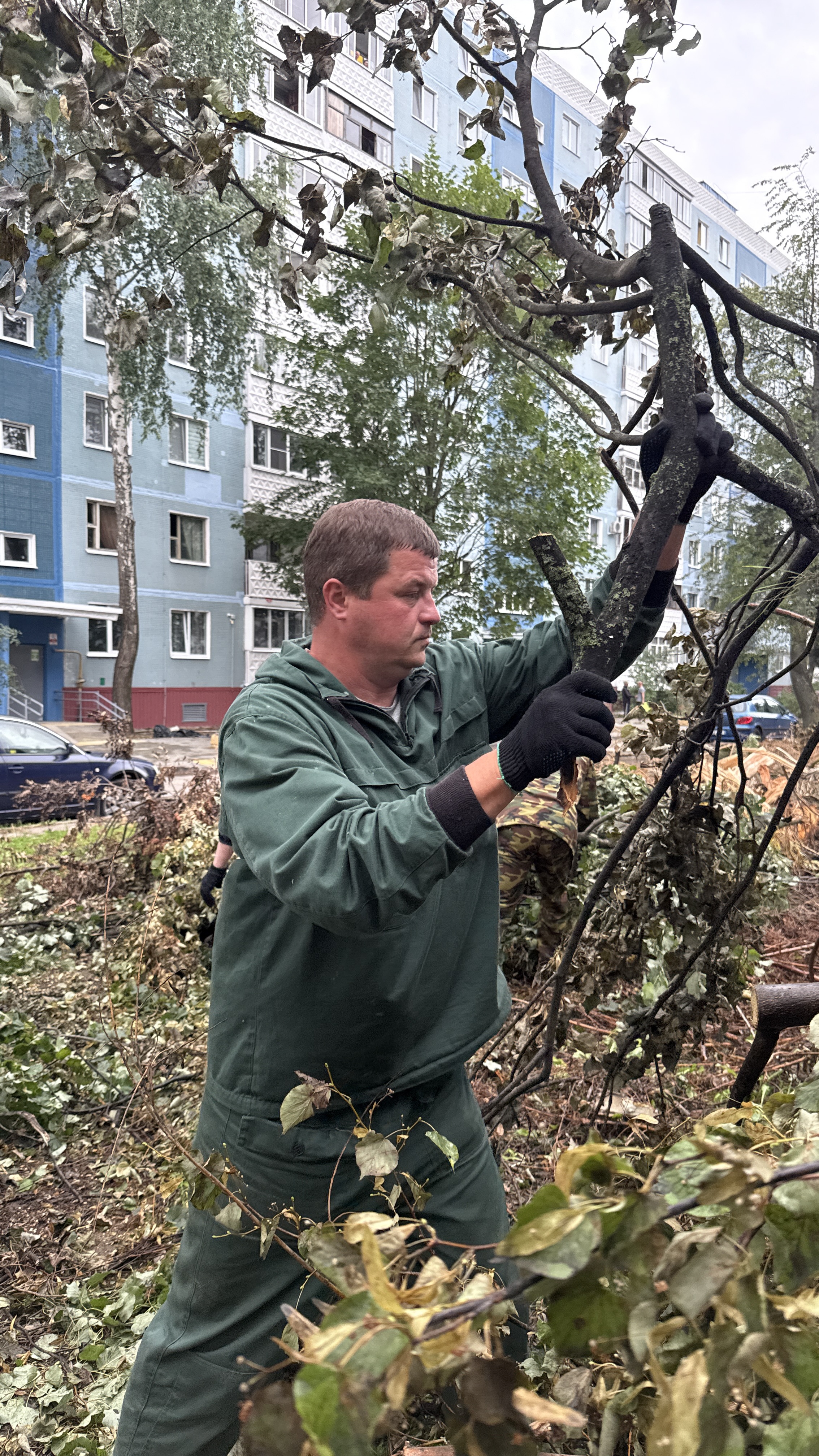 Изображение новости