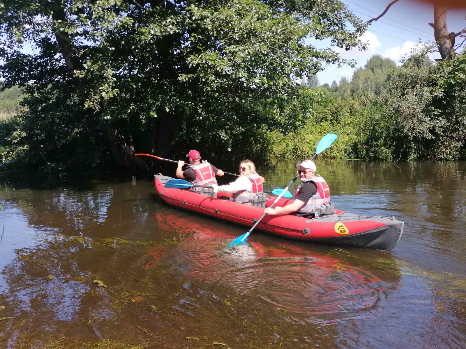 Изображение новости